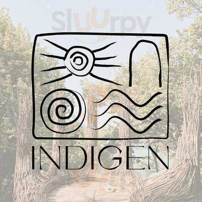 Indigen / Space For The Soul