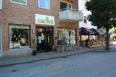Cactuz