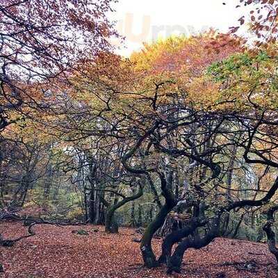 Torna Hällestad Lanthandel