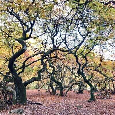 Torna Hällestad Lanthandel