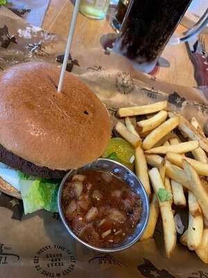 Texas Longhorn Kanalgatan