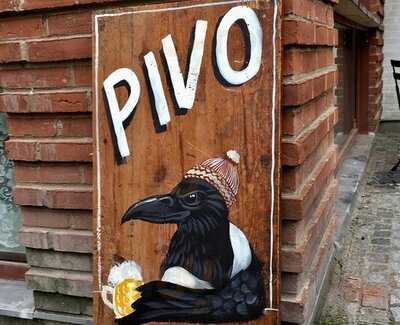Pivo - En Tjeckisk ölbar