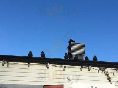 Slottsträdgårdens Kafé