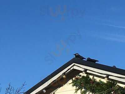 Slottsträdgårdens Kafé