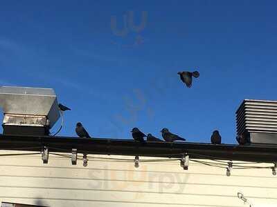 Slottsträdgårdens Kafé