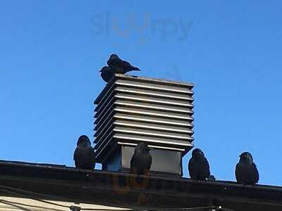 Slottsträdgårdens Kafé