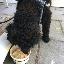 Kosterheds Konditori