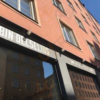 Robin Delselius Bageri