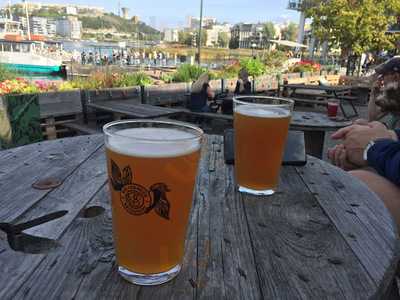 Nya Carnegiebryggeriet