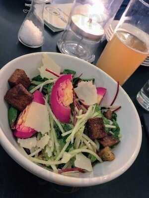 Whippet Lab & Social Justice Club