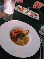 Whippet Lab & Social Justice Club