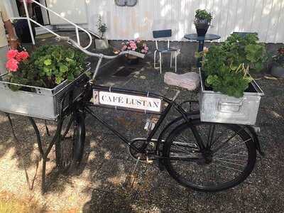 Café Lustan-aspö