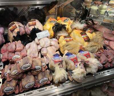 B.andersson Fågel & Vilt