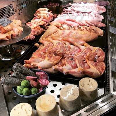 B.andersson Fågel & Vilt