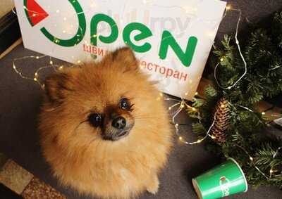 Open. Fast Restaurant