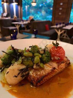 Marlin - Fish Restaurant