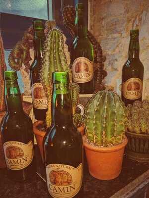 The Cinematographer's Party