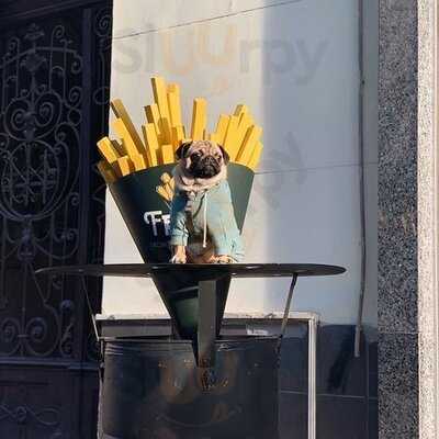 Friets From Netherlands