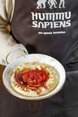 Hummu Sapiens